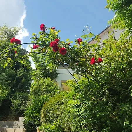 Haus Bergfriede Ferienhaus Koblenz Ferienhaus